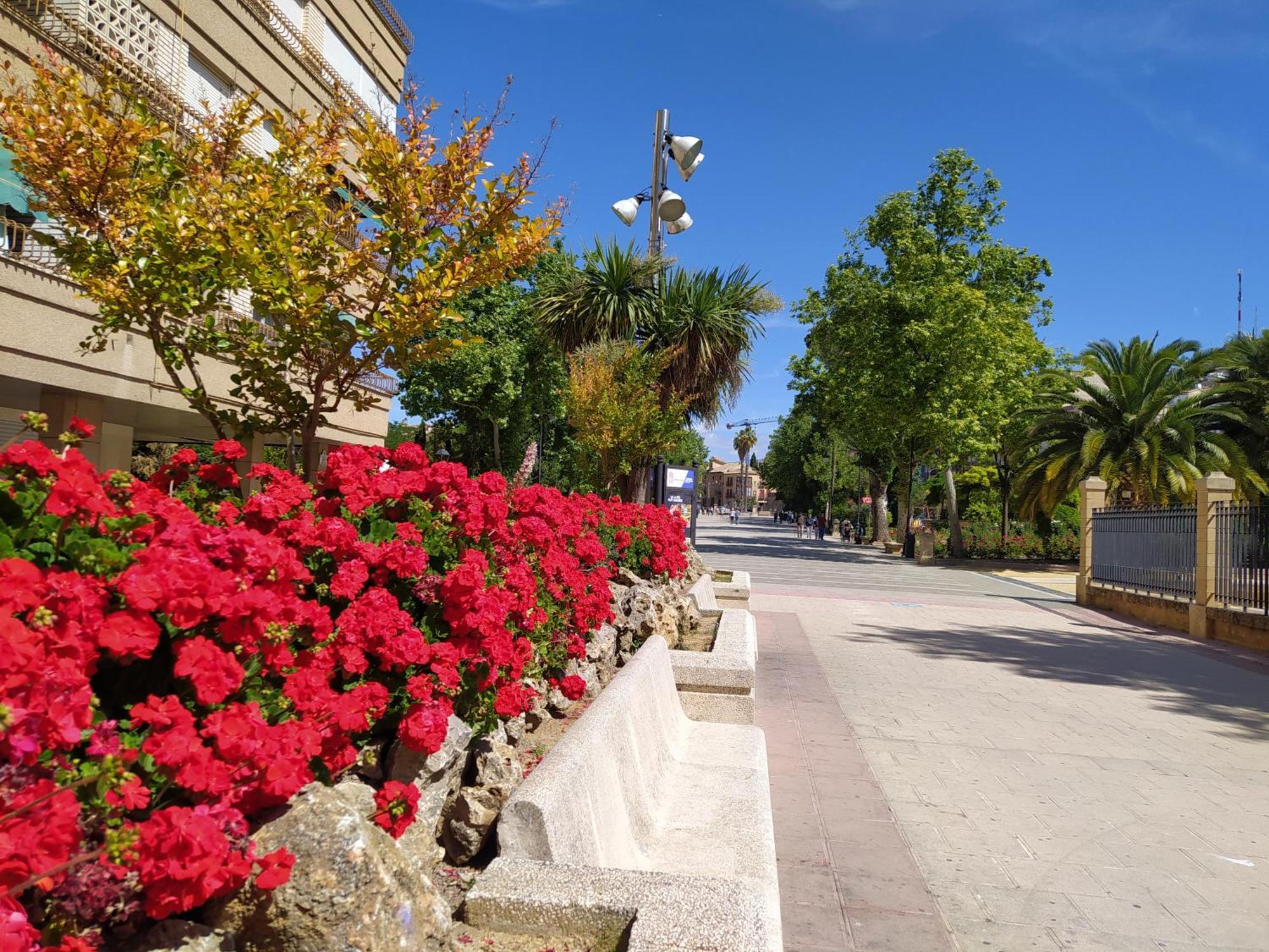 Alojamiento Los Alamos Alcala La Real Εξωτερικό φωτογραφία